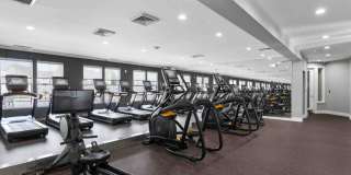 TGM Bull Run Gallery 33