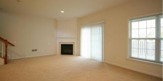 8250 RED CARNATION Court Gallery 15