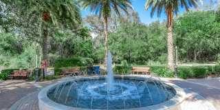 RIZE at Winter Springs Gallery 32