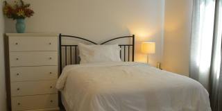 12344 W ALYSSA Lane Gallery 13