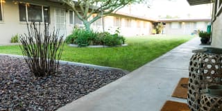 Tropicana Apartments Gallery 2