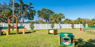 Imperial Palms Gallery 40