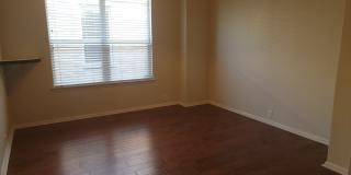 16006 Sight Scape Gallery 10