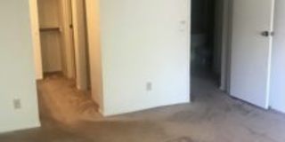 7928 East Colette Circle Gallery 12