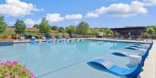 Kinsley Forest Gallery 27