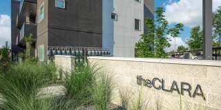 The Clara Gallery 16