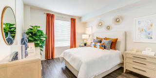 Essence Essence Gallery 5