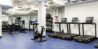 The Arden Gallery 17