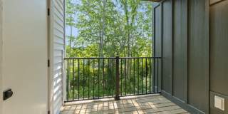 River Birch Apartments Gallery 6