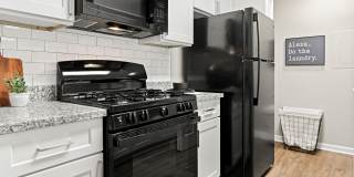 Atlas at St. George Gallery 5