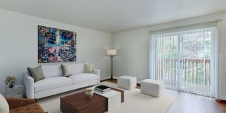 TownCenter Gallery 2