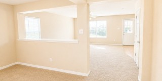 4919 Celtic Gallery 12