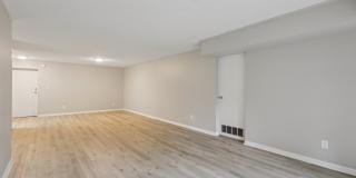 Hampshire House Gallery 41