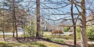 310 Mountain Alder Lane Gallery 7