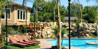 The Palms The Palms Gallery 3