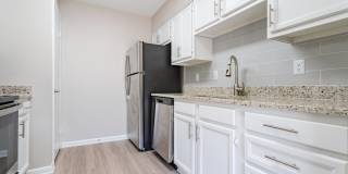 Rosen at North Hills Gallery 15