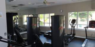 5608 Pinnacle Heights Cir #109 Gallery 17