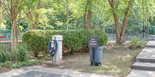 Laurel Oaks Gallery 25