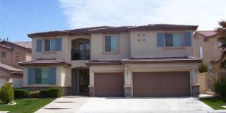 3316 Lacebark Pine Street Gallery 2