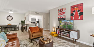 Ellipse at Fairfax Corner Gallery 8