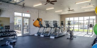 Springs At Cobblestone Lake Gallery 29