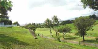 Aiea - Ridgeway BII 3 bedroom townhome Aiea - Ridgeway BII 3 bedroom townhome Gallery 4