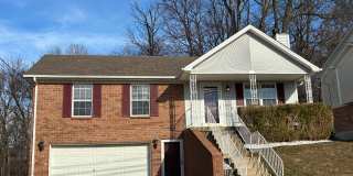 1331 AmandaJo Drive Gallery 1