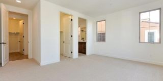 8 Last Bloom Gallery 2