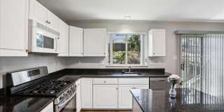 18512 FIDDLELEAF Terrace Gallery 12