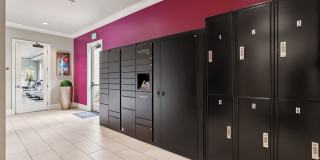 BDX at Capital Village Gallery 20