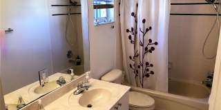 1113 Tupelo Way Gallery 16