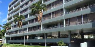 Elms - Close to Ala Moana, Downtown & More Gallery 1