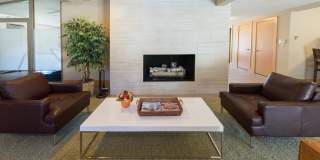 Audubon Square Gallery 10