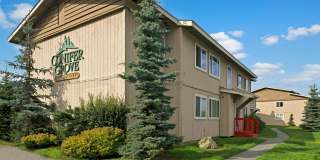 Conifer Grove Gallery 18