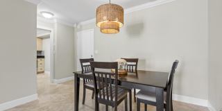 3301 S Ocean Boulevard unit: 1006 Gallery 13