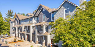 Summerlinn Gallery 46