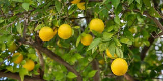 7046 Murietta Avenue Gallery 25