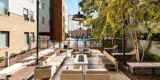 Terra House Gallery 2