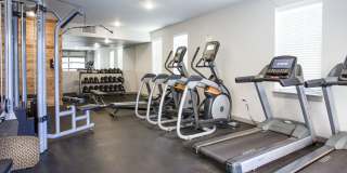 Thrive Argenta Gallery 72