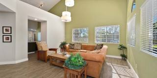 Forest Glen Gallery 7