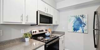 Vista Sureno Gallery 26