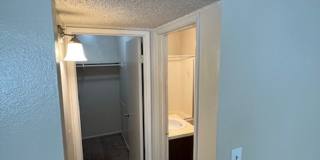 Studio with extra large closet and Bath, 600 sqft with walk in closet, washer/dryer in complex Gallery 4