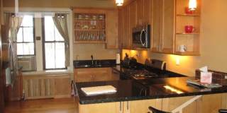 Gorgeous 3 bed in Allston Gallery 9