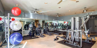 The Woods at Johnson Mill Gallery 15