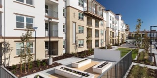 Senior Housing- Palmia, Age 55+ Luxury Apartments Gallery 34