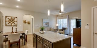 Vintage Amelia Island Apartments Gallery 63