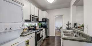 Student Housing - The Social Seminole Gallery 2