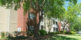 Creekside at Matthews Gallery 2