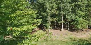 Gorgeous End Unit Garage Townhome In Brambleton for Rent! Gallery 46