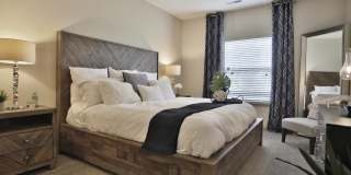 Palmera Apartments Gallery 9